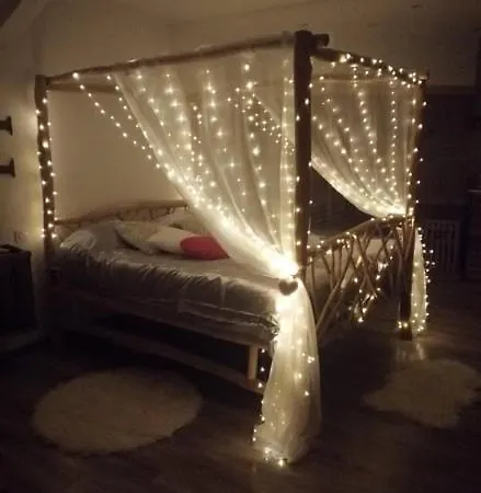 Le Reve De Lily *